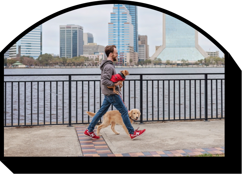 Man carrying a puppy and walking a dog