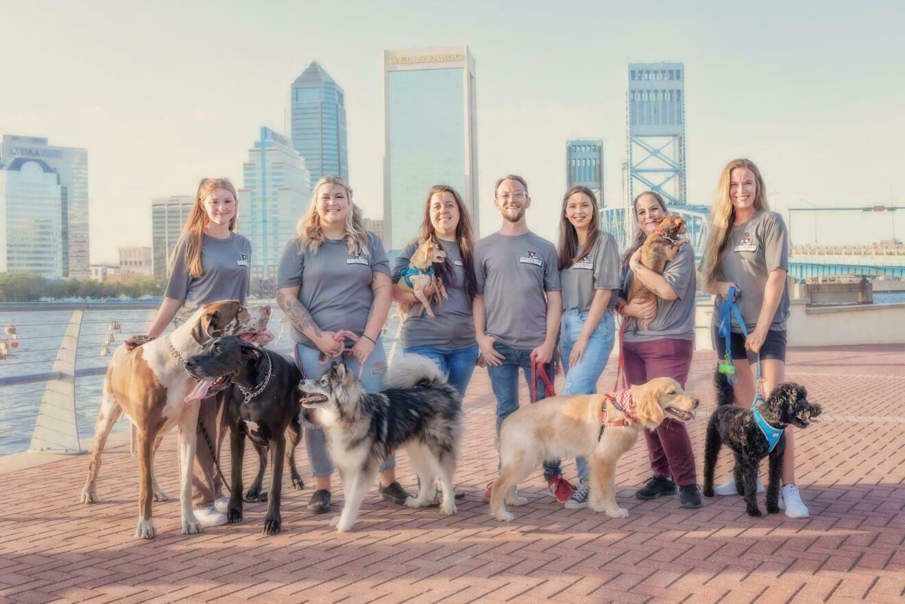 group photo of team with their dogs