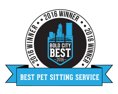 2016 Bold City Best Winner